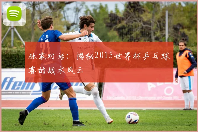 独家对话：揭秘2015世界杯乒乓球赛的战术风云