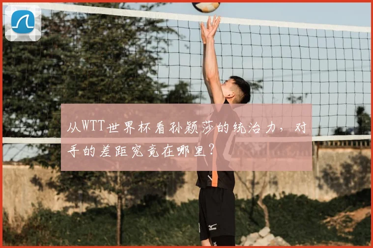 从WTT世界杯看孙颖莎的统治力,对手的差距究竟在哪里?