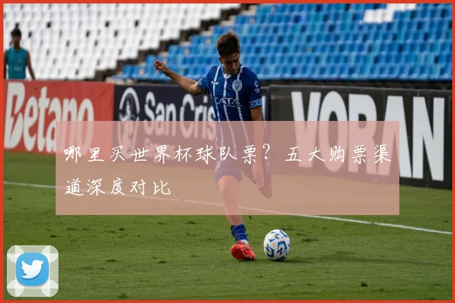 哪里买世界杯球队票?五大购票渠道深度对比